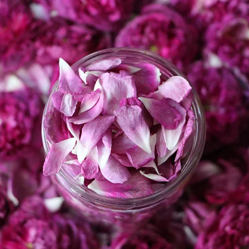 Rose-Infused Spirits & Liqueur